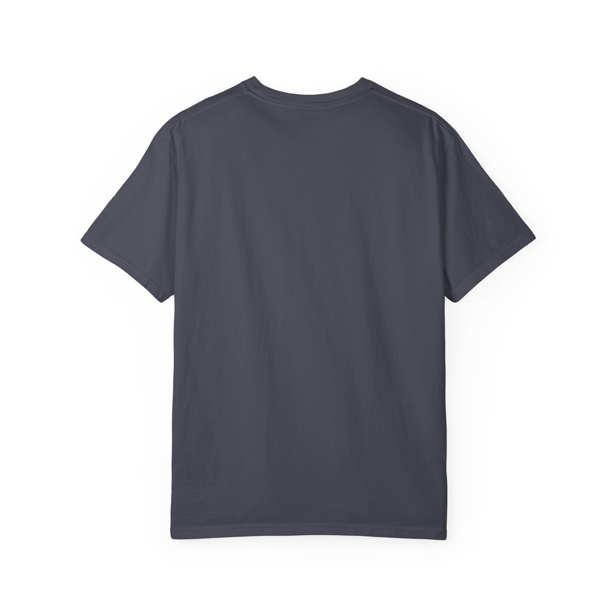 Back view of a Brinehound Comfort Colors T-shirt, showing the plain unprinted back.