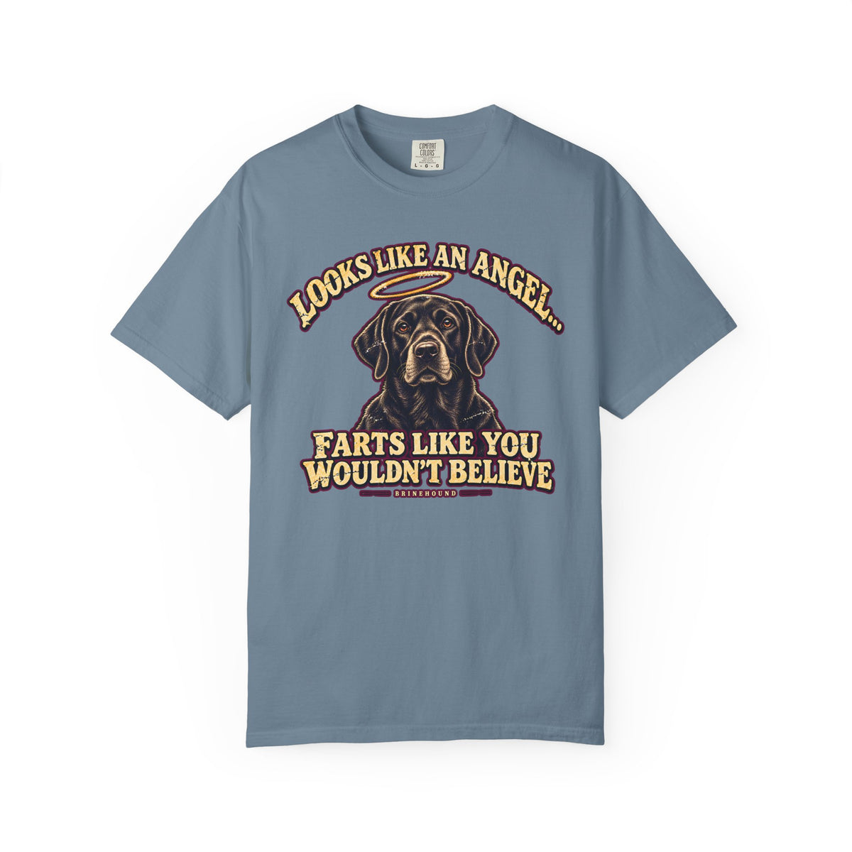 Front of a Ice Blue T-shirt featuring a Black Lab portrait with a halo and “Looks like an angel” lettering print.